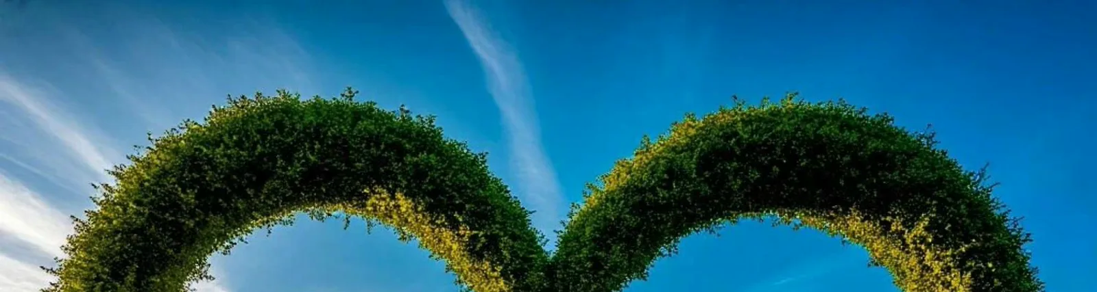 Вячеслав Кундич
