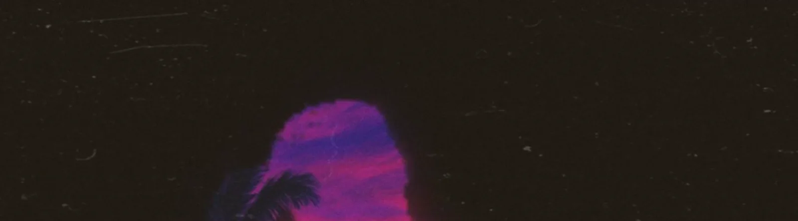 SkyFlex