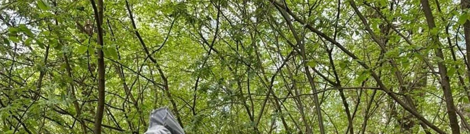 Фото исполнителя Naturalesa
