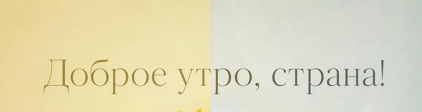 Фото исполнителя Света Лана & Цитатриум
