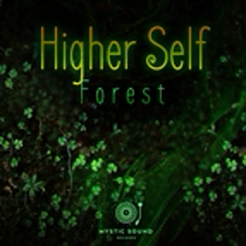 Фото исполнителя Higher Self