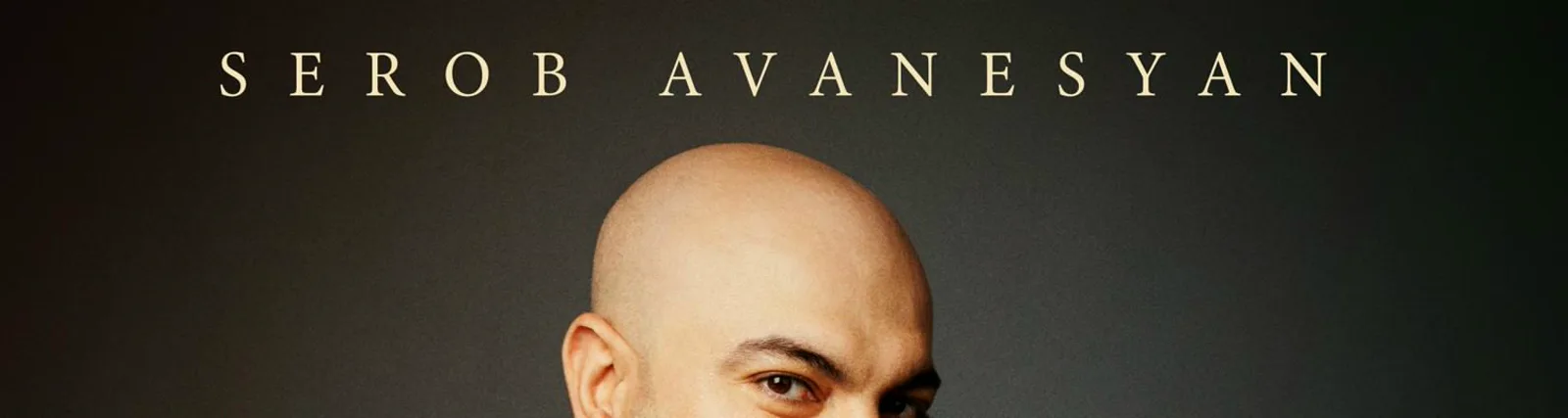 Фото исполнителя Serob Avanesyan