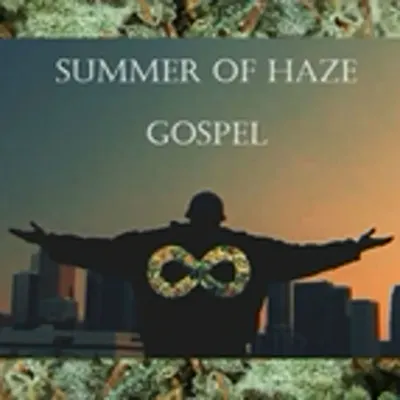 H▲zy
