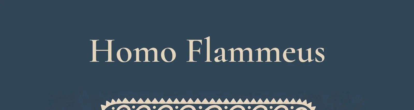 Фото исполнителя Homo Flammeus