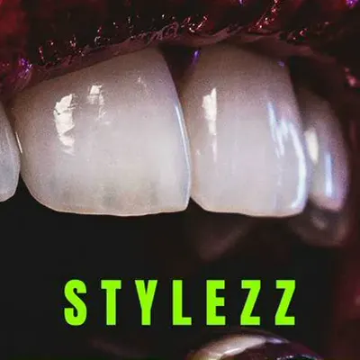 Stylezz