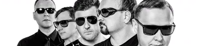 Акустический лес
