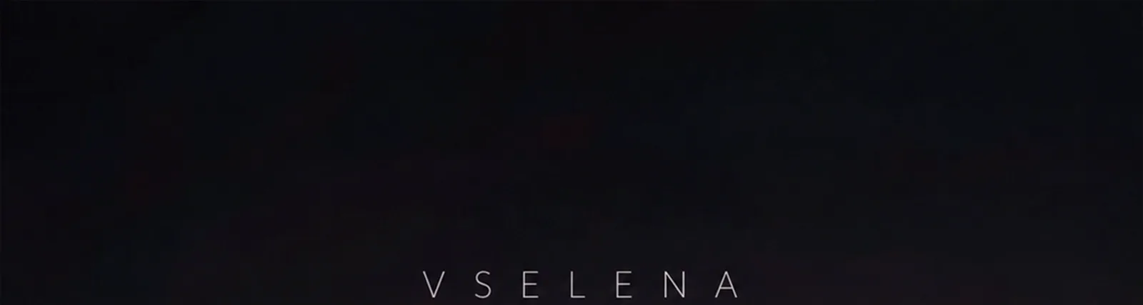 Фото исполнителя VSELENA