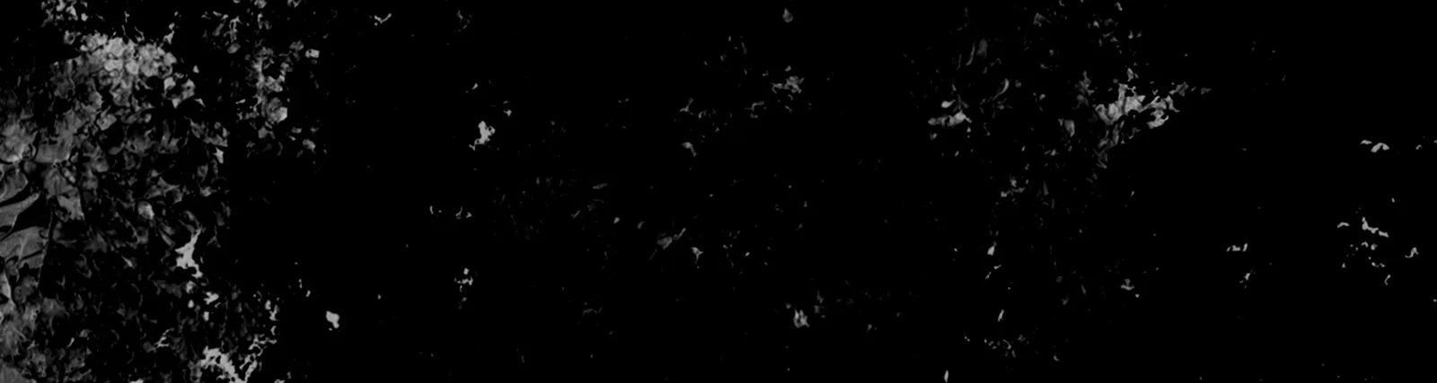 Фото исполнителя malyygringo