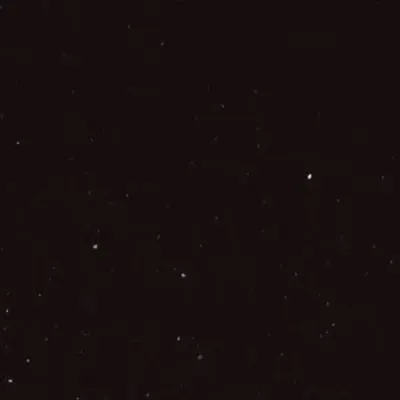 Сквозь пелену вечеров