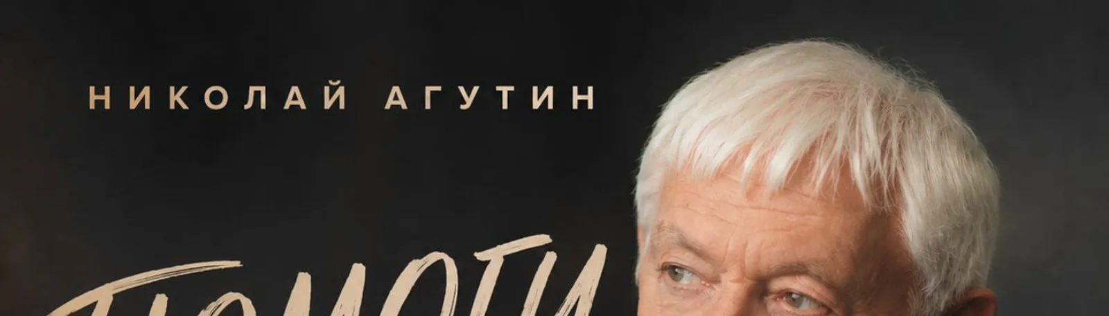 Фото исполнителя Николай Агутин