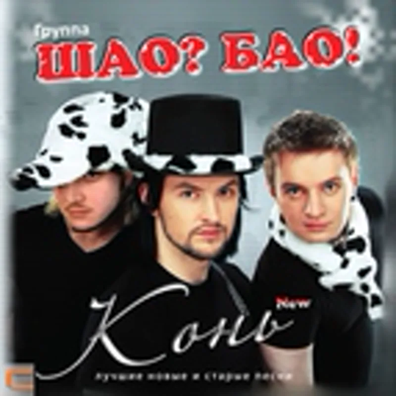 Фото исполнителя Шао Бао