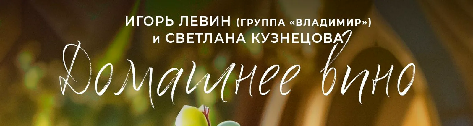 Фото исполнителя Игорь Левин (Группа «Владимир»)