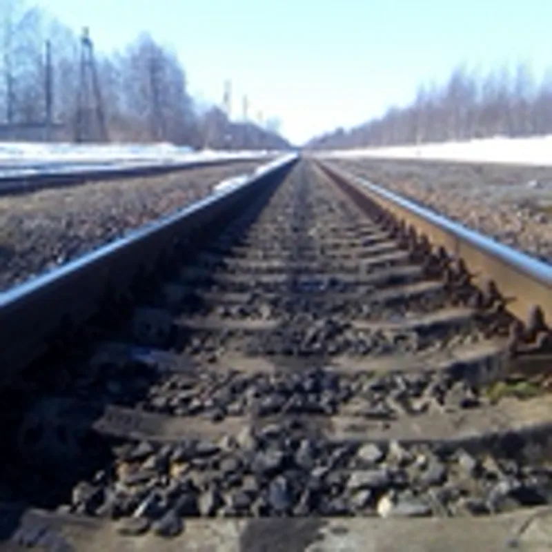 Фото исполнителя Диана