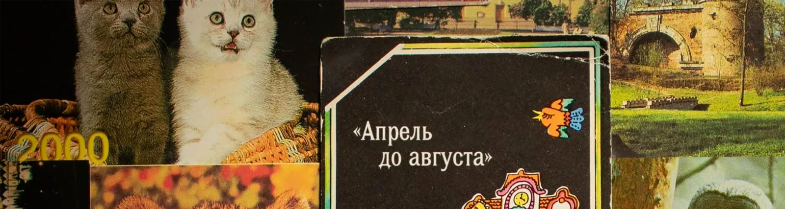 Фото исполнителя Дариа Солдо