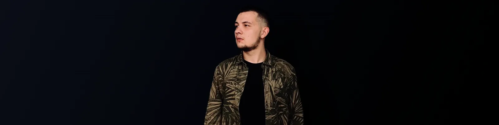 Фото исполнителя PINGVIN
