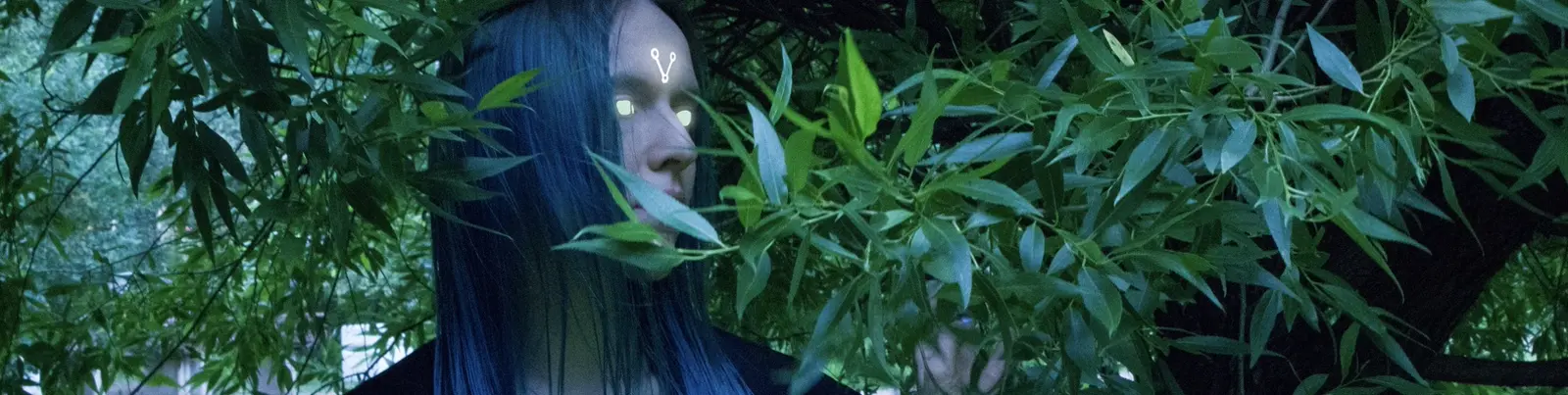 Nymfea