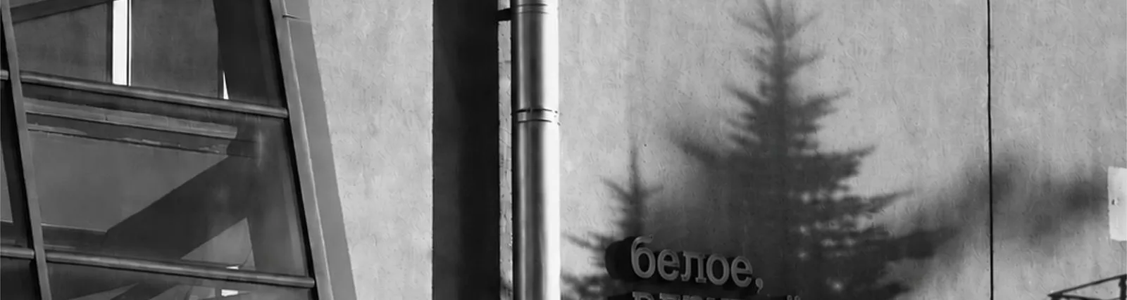 Фото исполнителя Bronx