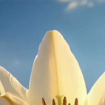 MATALINA