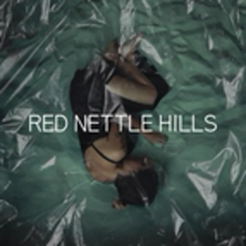 Фото исполнителя Red Nettle Hills