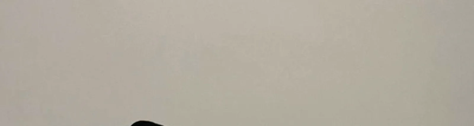Фото исполнителя Хикари