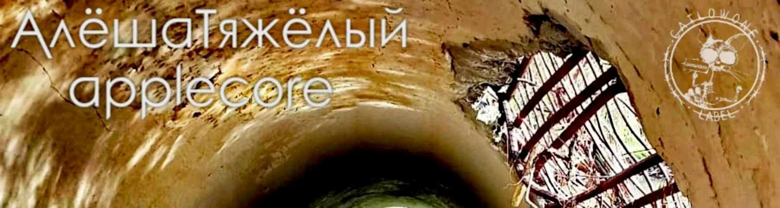 Фото исполнителя applecore