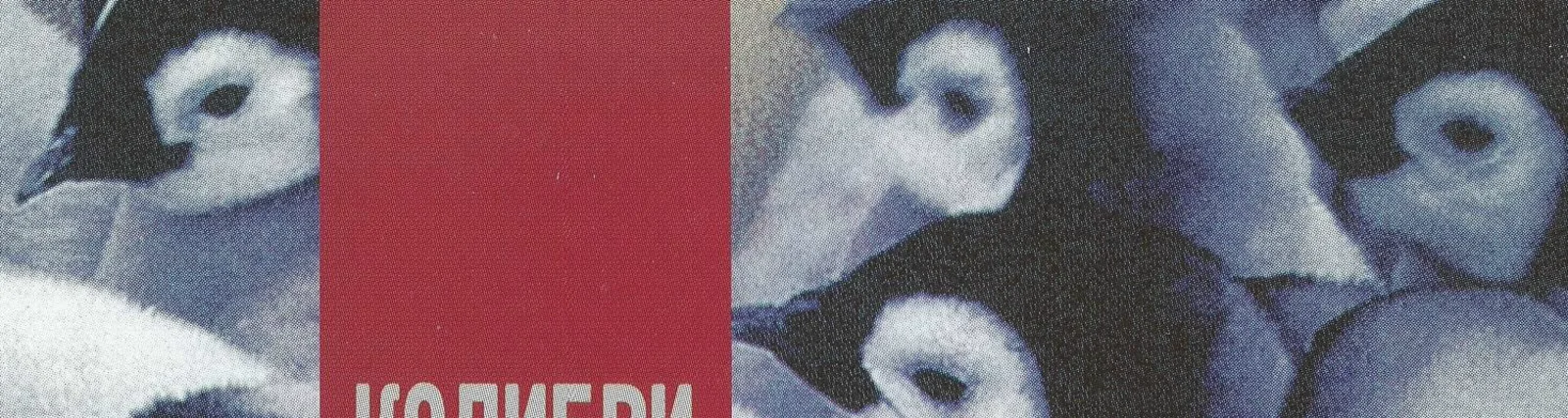 Колибри