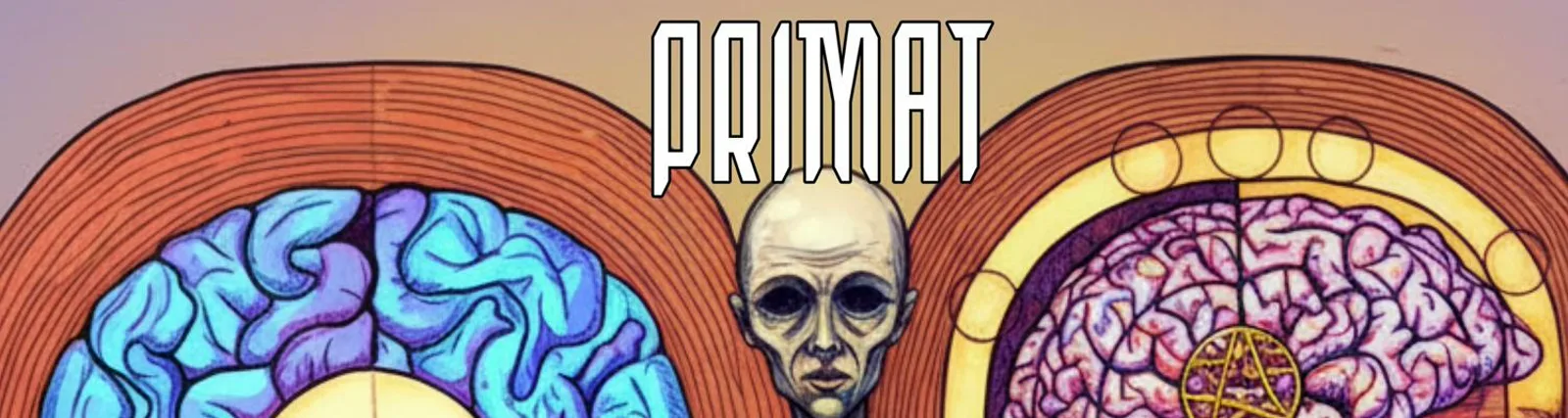 Primat