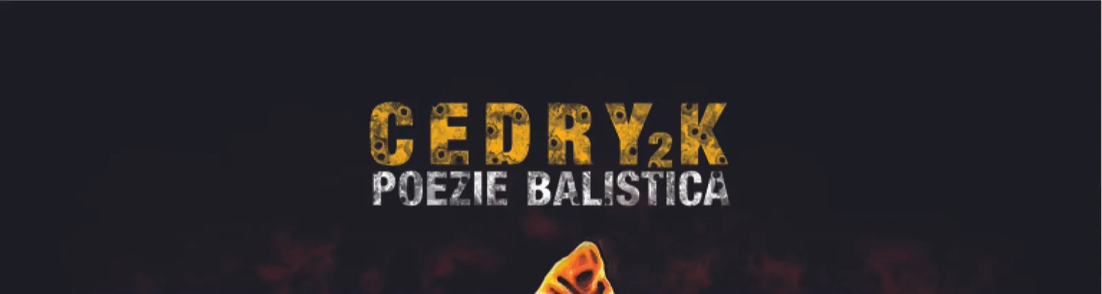 Фото исполнителя DJ Faibo X