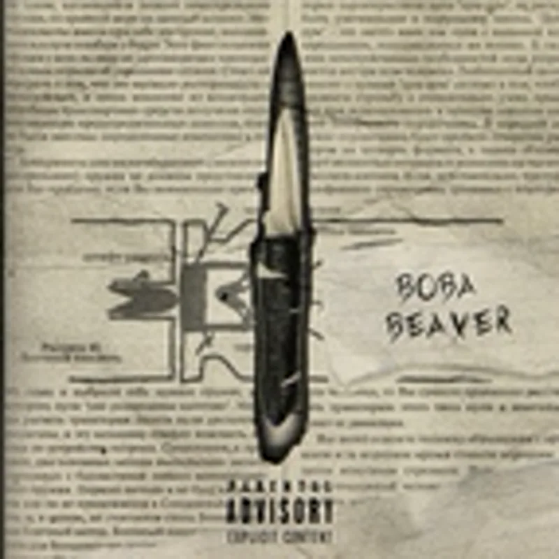 Фото исполнителя Вова Beaver