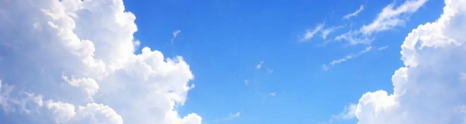 Даша Грошева