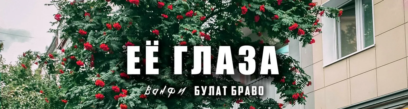 Булат Браво