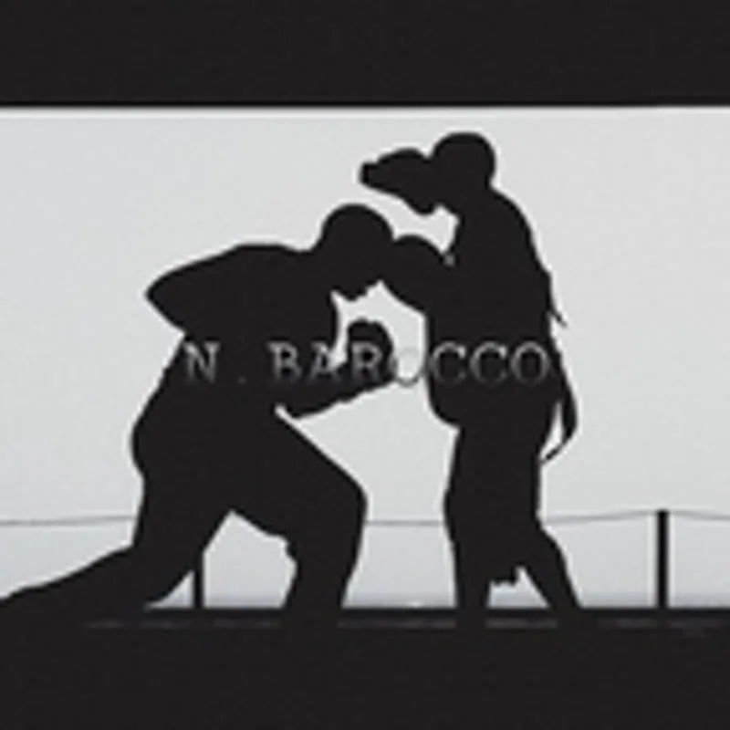 Фото исполнителя N.Barocco