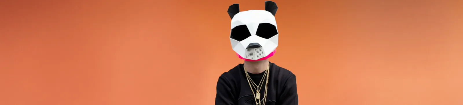 Фото исполнителя Pink Panda