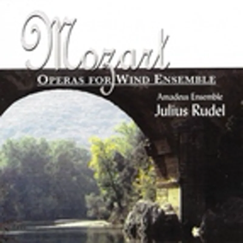 Фото исполнителя Placido Domingo/English Chamber Orchestra/Julius Rudel