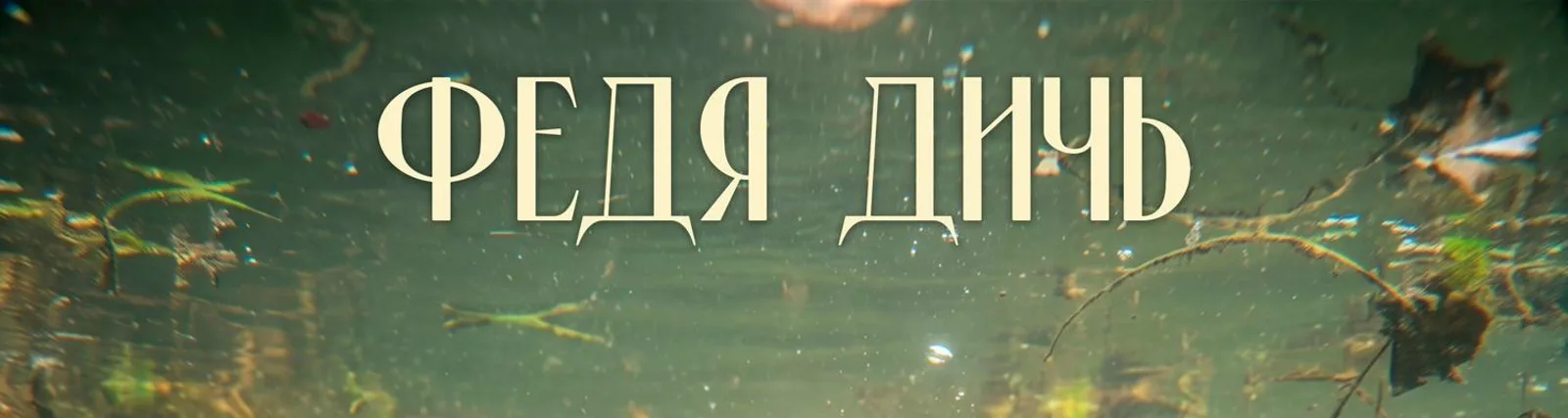 ФЕДЯ ДИЧЬ