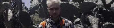 ЗАЯЦВОЛК