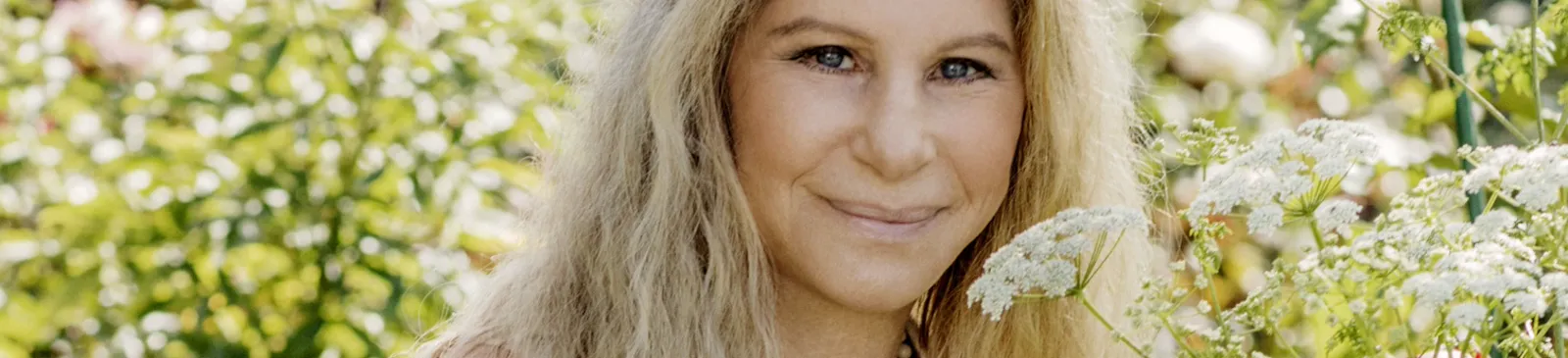 Фото исполнителя Barbra Streisand