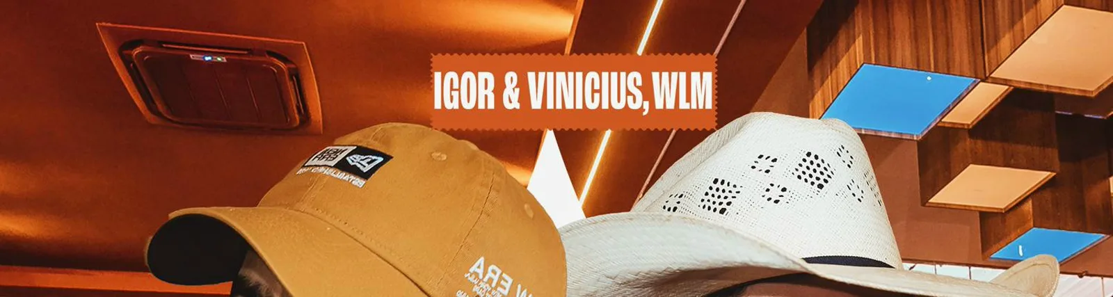 Фото исполнителя Vinícius