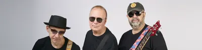 Группа Товарищей