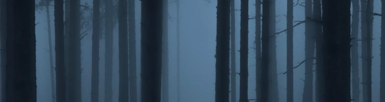 Фото исполнителя Remaining Warmth