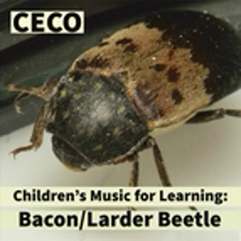 Фото исполнителя Ceco