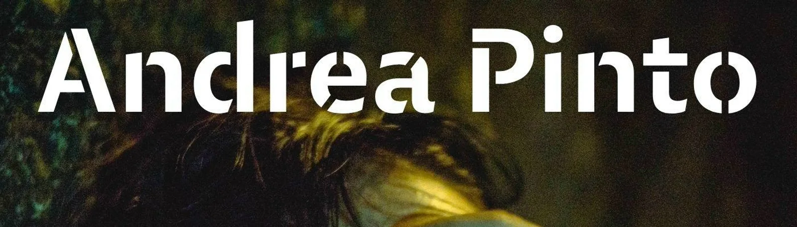 Фото исполнителя Andrea Pinto