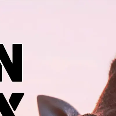 SlaviX