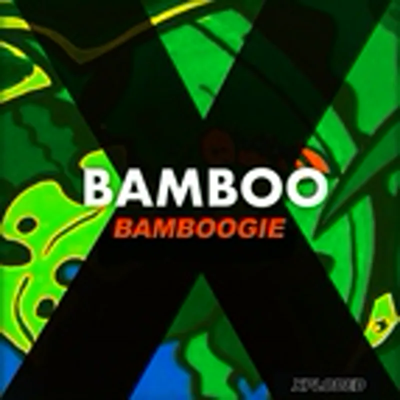 Фото исполнителя Bamboo
