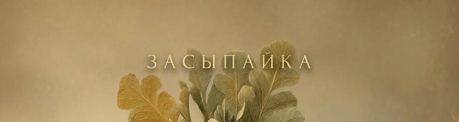 Фото исполнителя Засыпайка