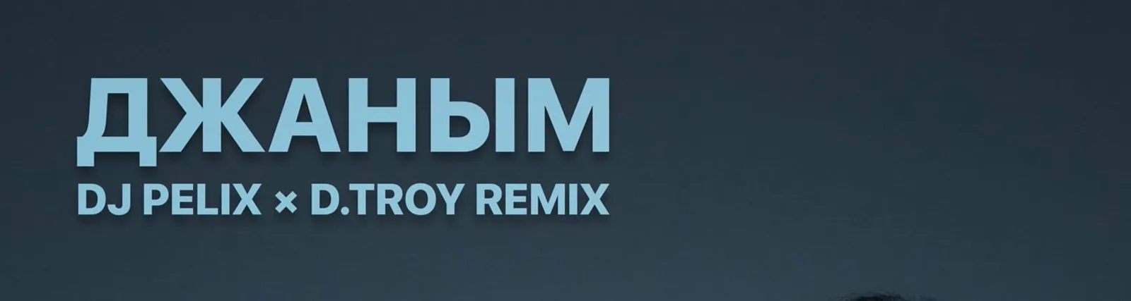 D.Troy
