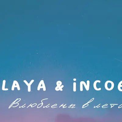 Incognet