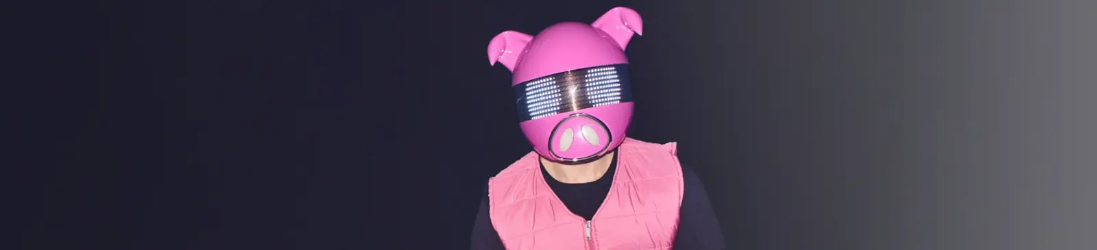 Фото исполнителя Digital Farm Animals