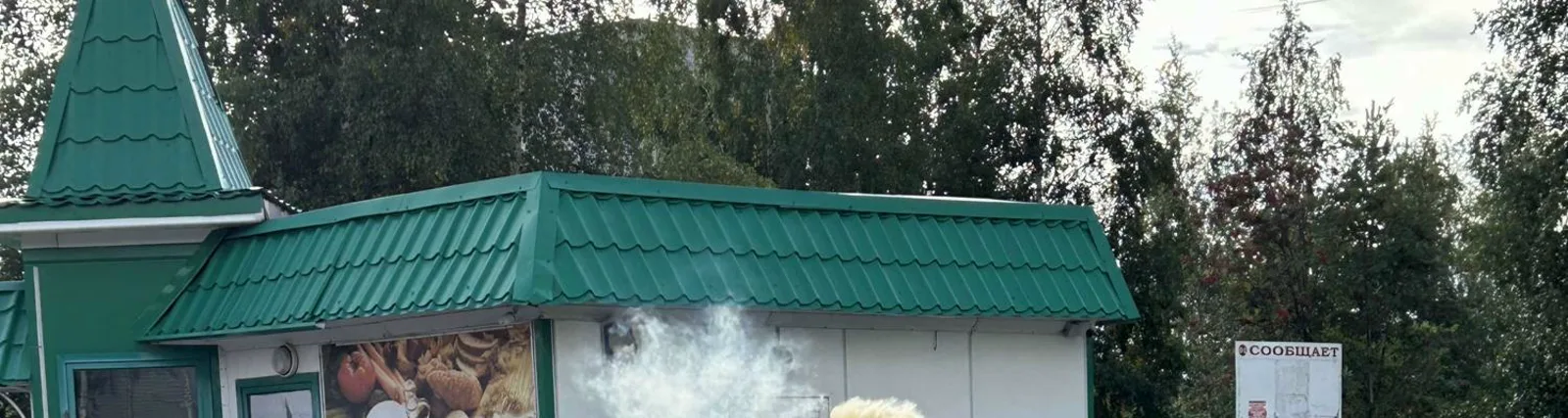 FXR3V3RVLXN3