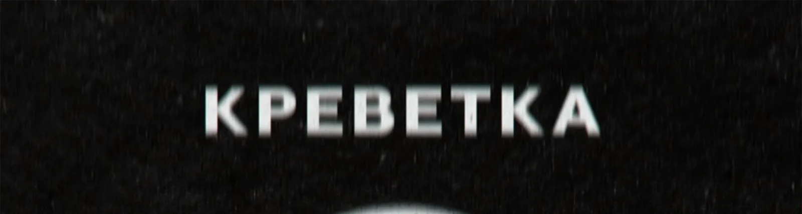 Фото исполнителя Мицелий в цвету